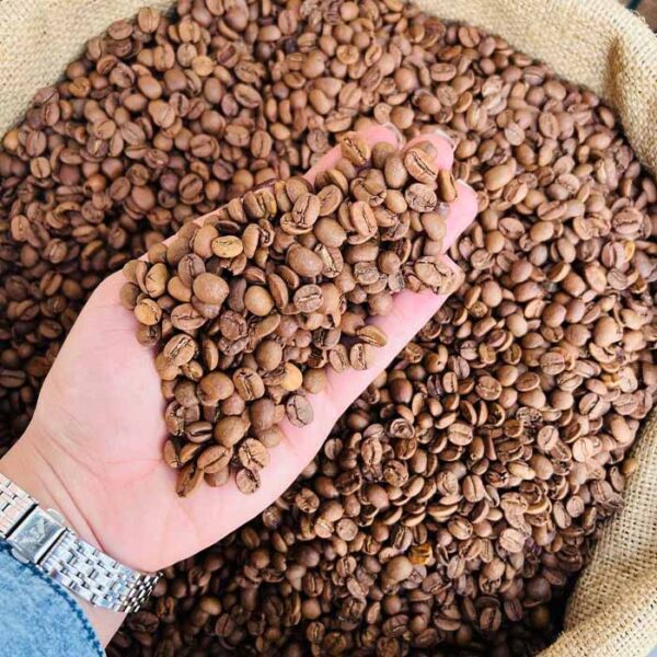 قهوه برزیل ریو