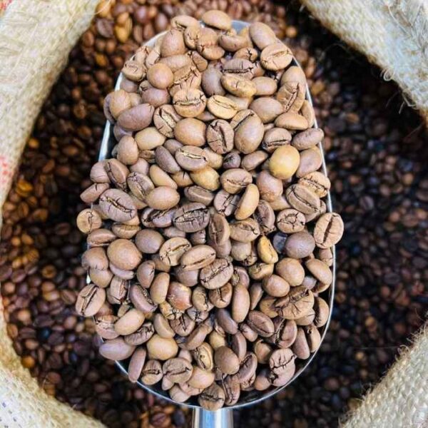 قهوه اندونزی مدیوم
