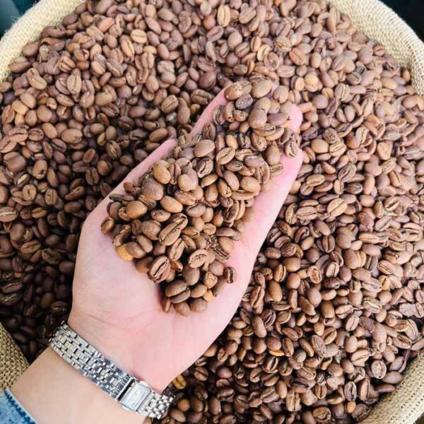 قهوه اتیوپی دیجیمو عربیکا
